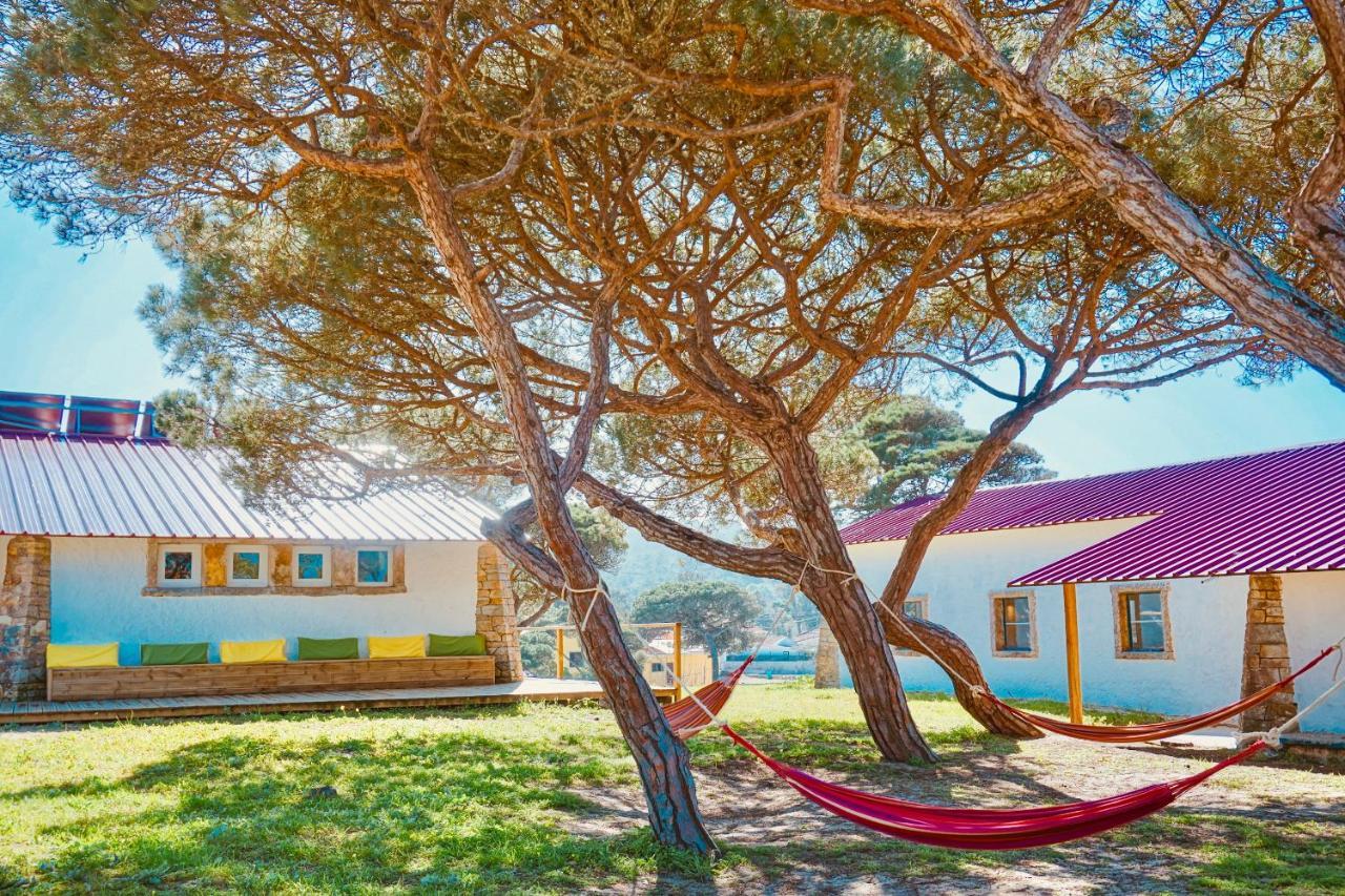 Oasis Backpackers Hostel Sintra Surf Colares Kültér fotó